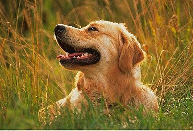 Steam解谜游戏节预告公开 4月25日活动开始