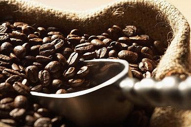 《怪物猎人：崛起》原声带上线Steam 售价185元